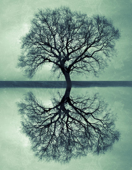 The Tree