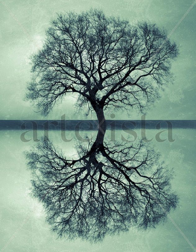 The Tree