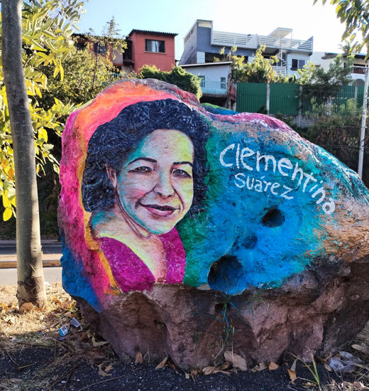 CLEMENTINA SUAREZ,  poeta. PEDRADA POETICA, HONDURAS. Acrílico Otros Retrato