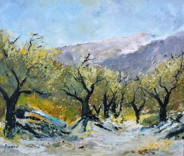 Olive trees in Provence   76 Oil Canvas Landscaping