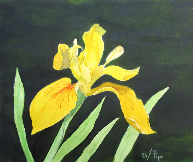 iris amarillo Watercolour Paper Floral Painting