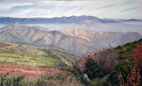 Vista desde Cerro...