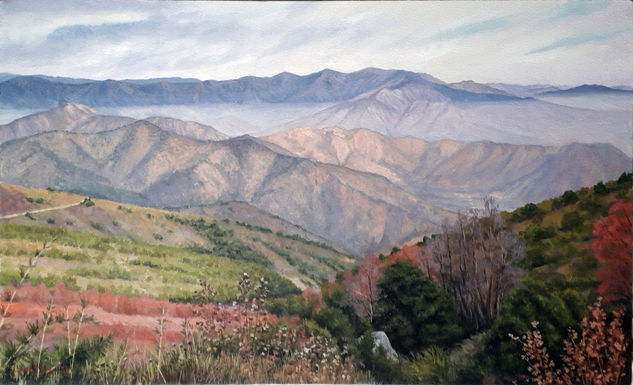 Vista desde Cerro La Campana Oil Canvas Landscaping