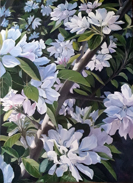 Manzano en flor