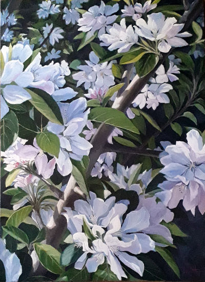 Manzano en flor Oil Canvas Landscaping