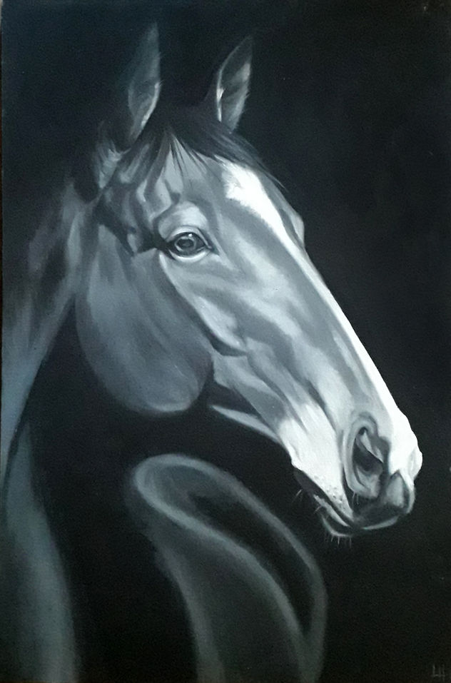 Caballo1