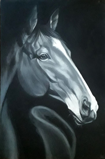 Caballo1 Oil Canvas Animals