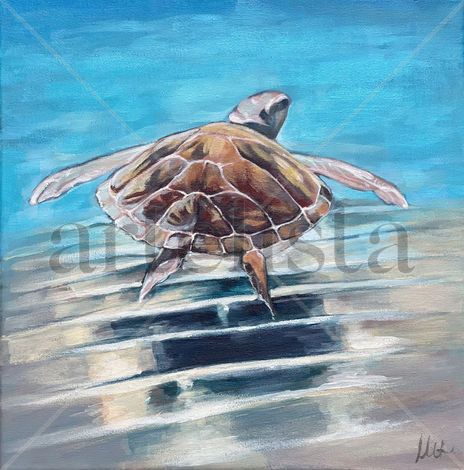 Tortuga