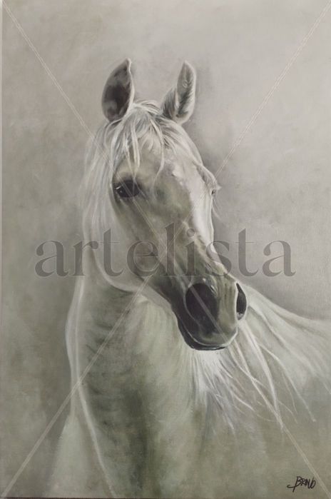 Caballo 5