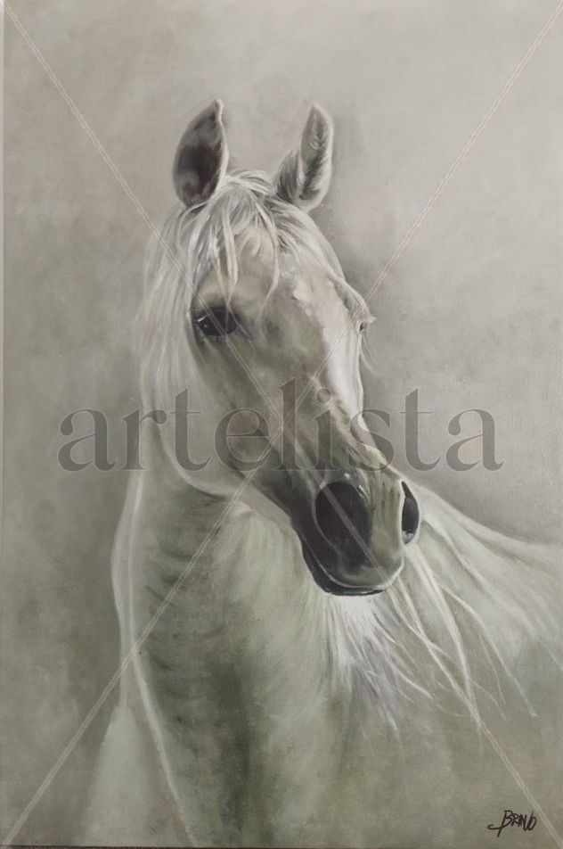Caballo 5
