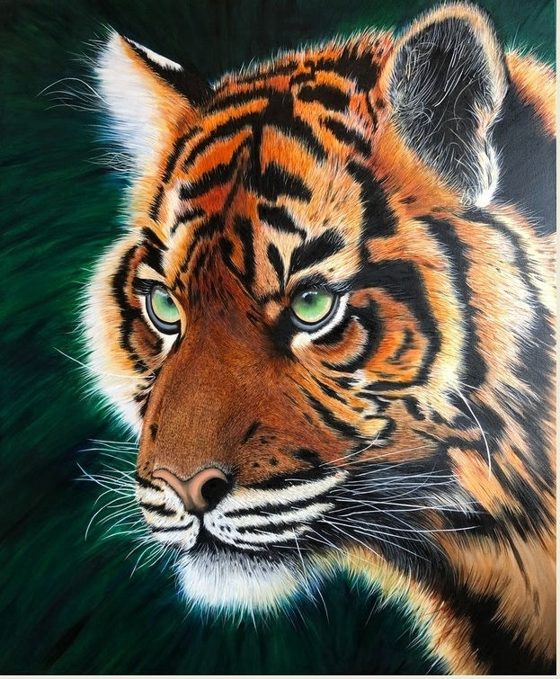 TIGRE