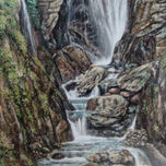 Flores y paisajes thumbnail 1