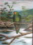 loro roberto