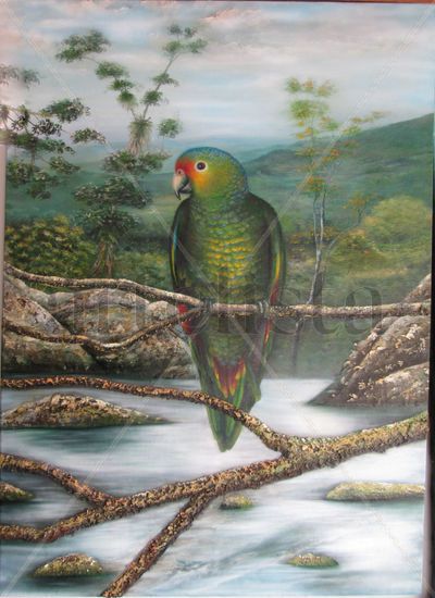 loro roberto Óleo Lienzo Paisaje