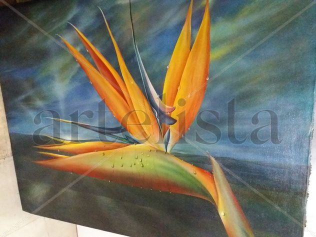 Heliconia