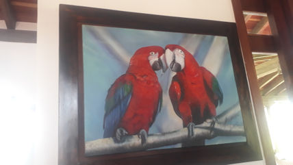 Guacamayas rojas