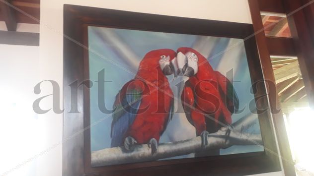 guacamayas rojas