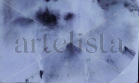 El contemplador