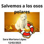 Salvemos a los Osos Polares