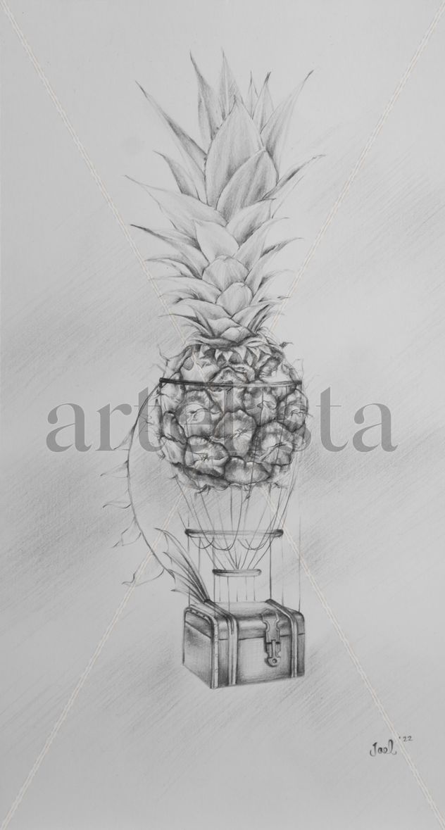 El vuelo de la piña aerostatica