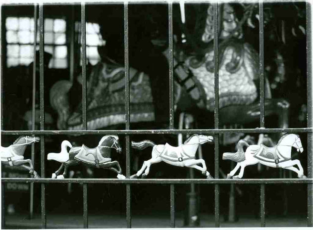 Los caballitos de Central Park