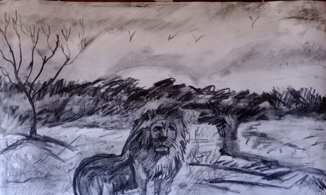 Animales