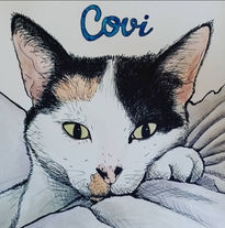 Covi