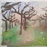 Bosques y vegetación thumbnail 1