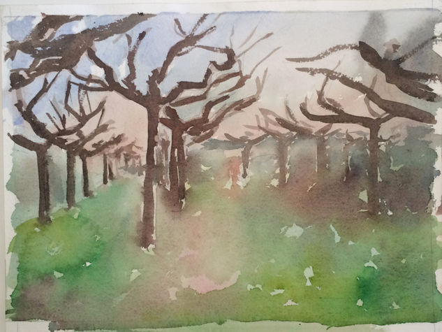 Boira baixa Watercolour Paper Landscaping