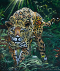 Jaguar in the jungle