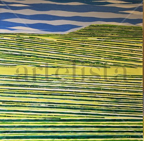 Campos de cultivo