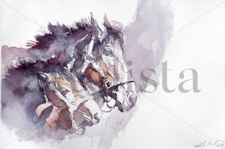 Two horses