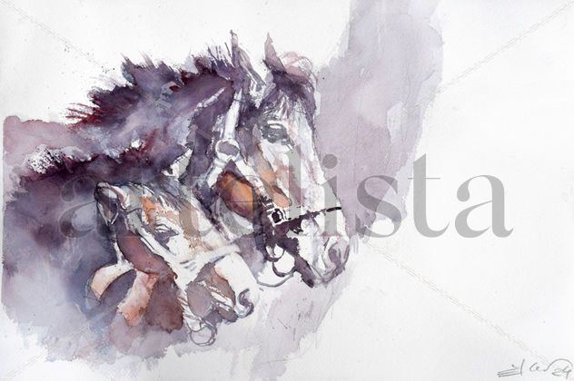 Two horses