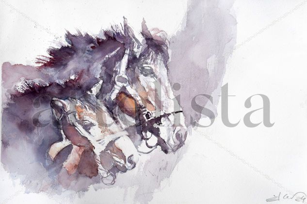 Two horses Watercolour Paper Animals