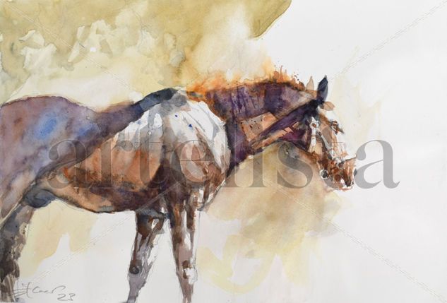 Horse steam Acuarela Papel Animales