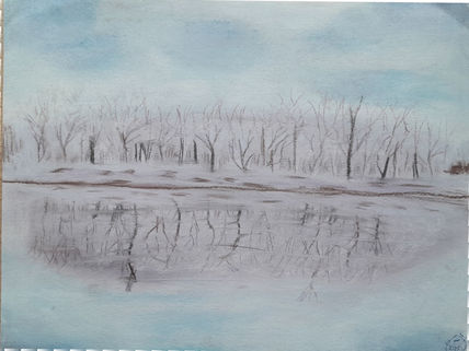 Reflejo invernal