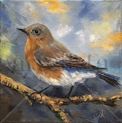 Pájaro Bird