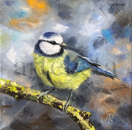 Pájaro Bird