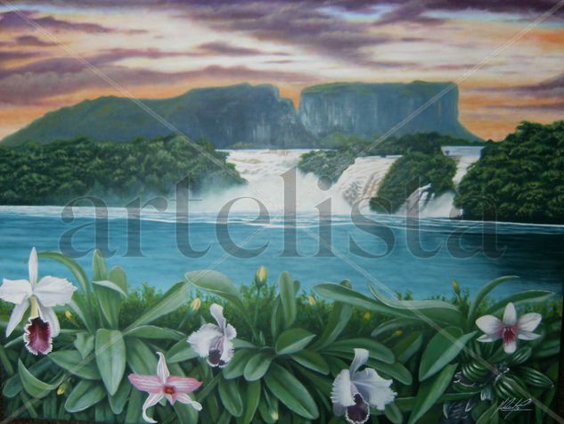 VENEZUELA MIA Oil Canvas Landscaping