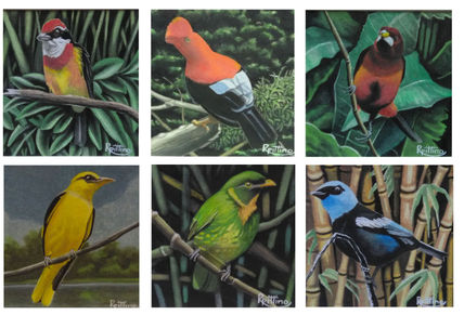 Serie: pajaros del...