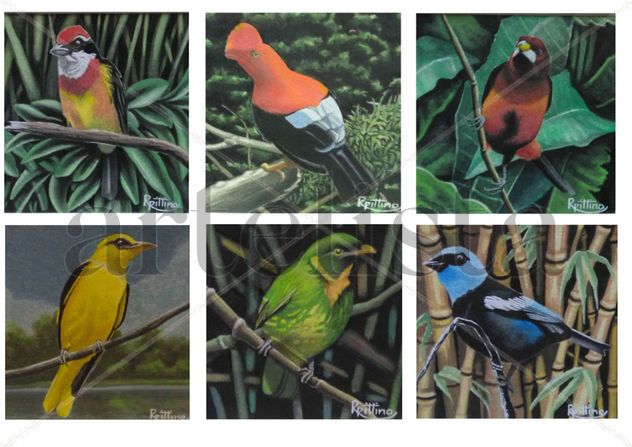 SERIE: PAJAROS DEL PERÚ