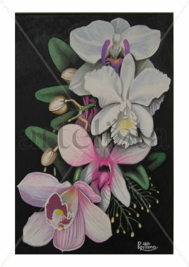ORQUIDEAS DE ENSUEÑO