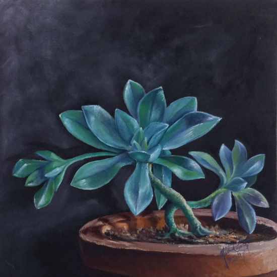 Graptopetalum paraguayense Oil Canvas Floral Painting