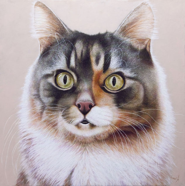 Anastasia Woron: "El Gato.El Basilio." - Óleo Original Firmado (60x60 cm.) 2024