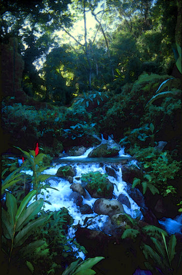 Tropical Forest Nature Color (Manual)