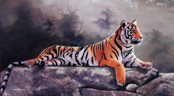 Un nuevo dia para el tigre Oil Canvas Animals