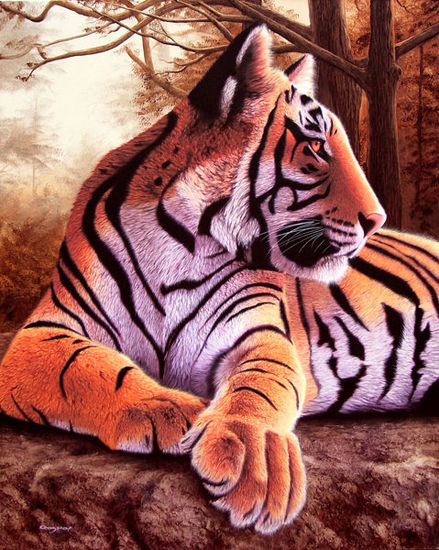 Tigre solitario Oil Canvas Animals