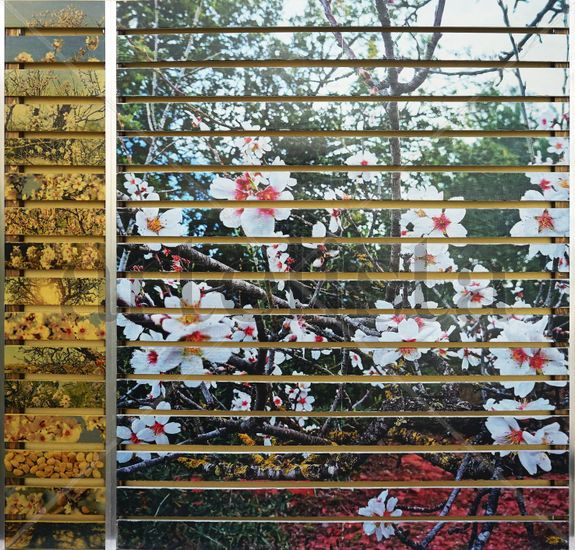 L'AMETLLER EN FLOR Acrylic Panel Landscaping