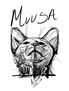 Muusa, Gato