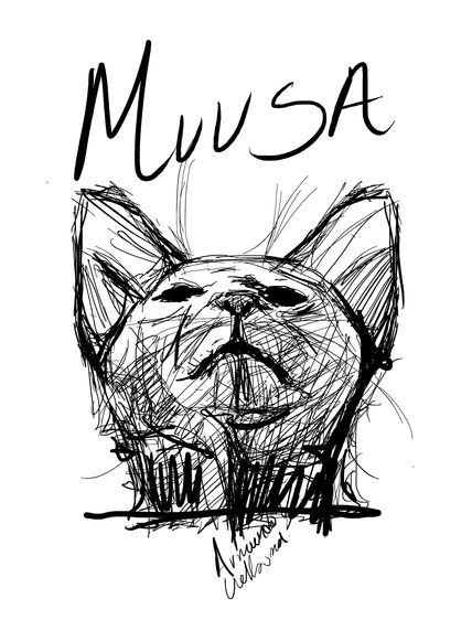 Muusa, Gato
